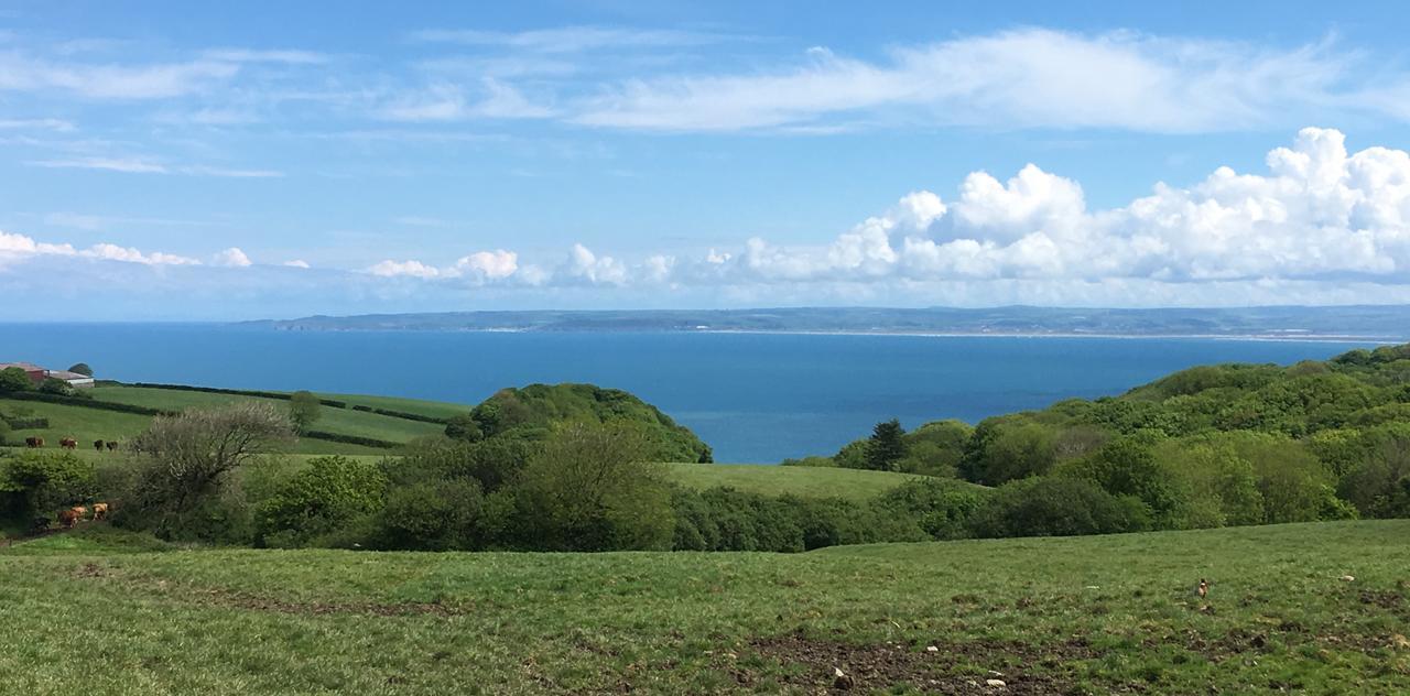 East Dyke Farm B&B Clovelly Esterno foto